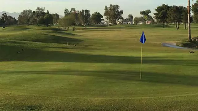 Online Booking - Round of Golf at Pueblo El Mirage Golf Course - Primary Image