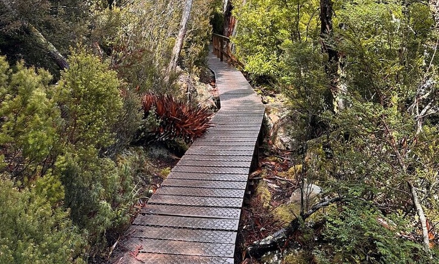 Image 8: Cradle Mountain Half Day Dove Lake Guided Tour with Lunch
