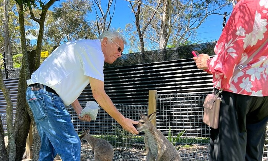 Image 4: South Coast Private Tour & Royal National Park Inc