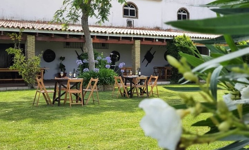 Image 2: Desde Cádiz, visita a la bodega Chiclana de la Frontera con almuerzo
