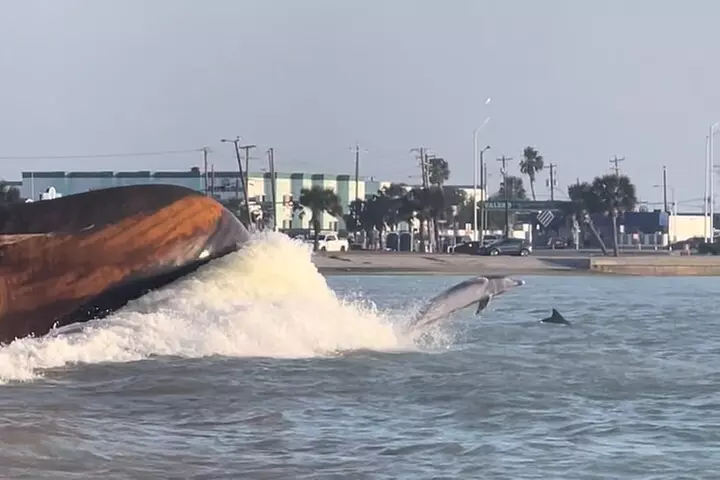 Private Dolphin Watch and Sunset Boat Tour Port Aransas Texas