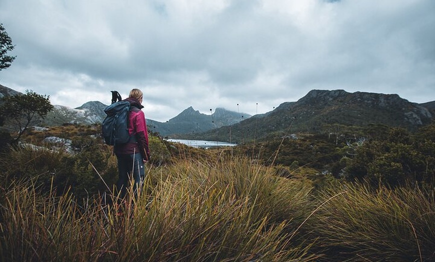 Image 1: Cradle Mountain Half Day Dove Lake Guided Tour with Lunch