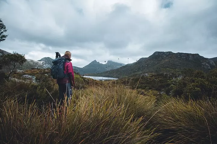 Cradle Mountain Half Day Dove Lake Guided Tour with Lunch - Primary Image