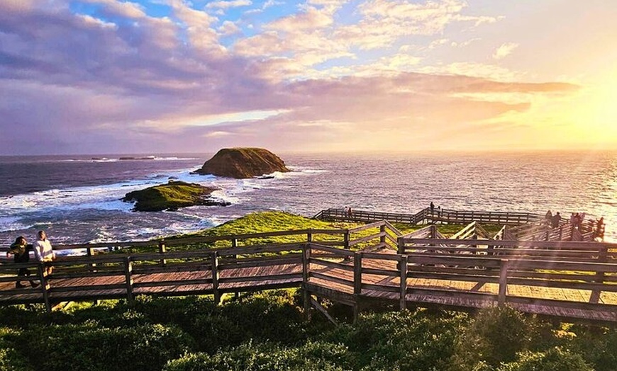 Image 8: Puffing Billy Tour and Penguin Parade from Melbourne