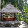 Image 9: ✈ BALI | Ubud - Tjampuhan 3*, 8 nachten - Spa
