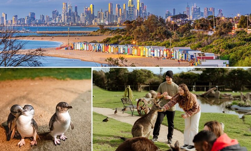 Image 1: Melbourne: Penguin Parade , Koala & Brighton Bathing Boxes