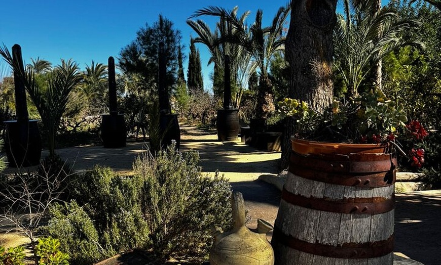 Image 5: Alicante; Recorrido Vinícola Bodega Cata Vinos, Comida y Traslado