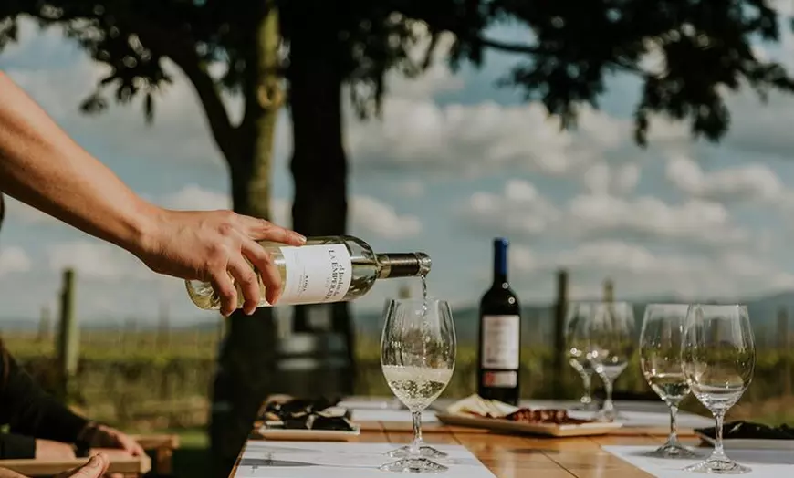 Image 4: La Rioja: Un Viaje a Través de Viñedos y Tradición