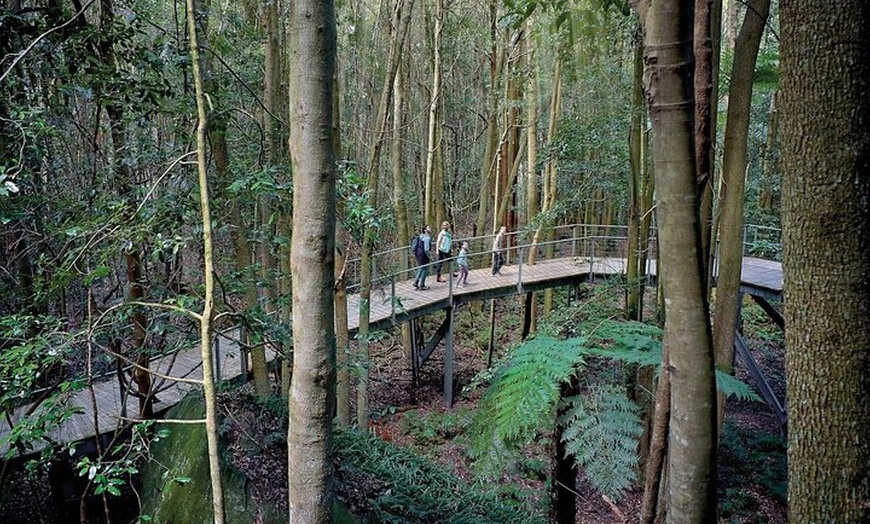 Image 5: Private Sydney Tour to Featherdale Wildlife Park