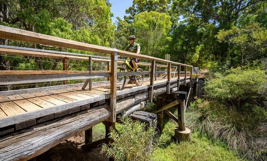 Image 8: Half Day Wadandi Track Scenic E-Bike Tour