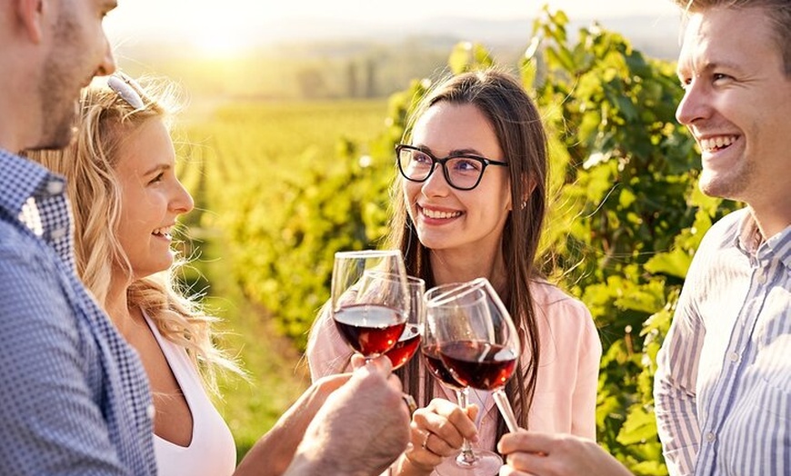 Image 2: Tour privado de vino de Ribera del Duero de día completo desde Madrid