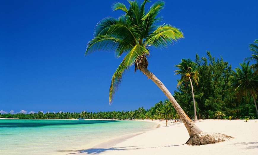 Image 2: ✈ RÉPUBLIQUE DOMINICAINE | Punta Cana - L'essentiel de la Républiqu...