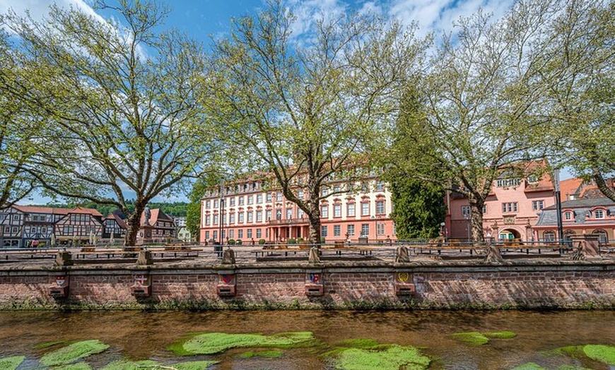 Image 6: Explorez Lille en 60 minutes avec un Local