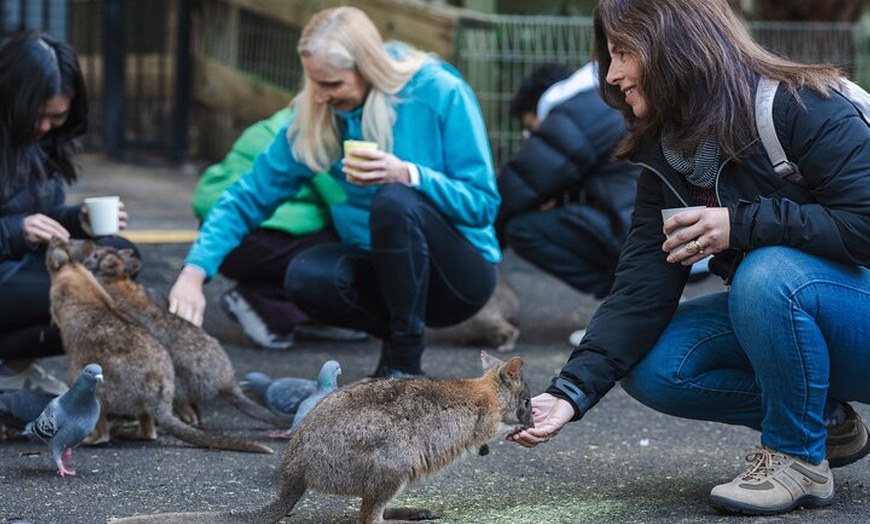 Image 3: Small Group Blue Mountains Wildlife and Bushwalk Tour From Sydney