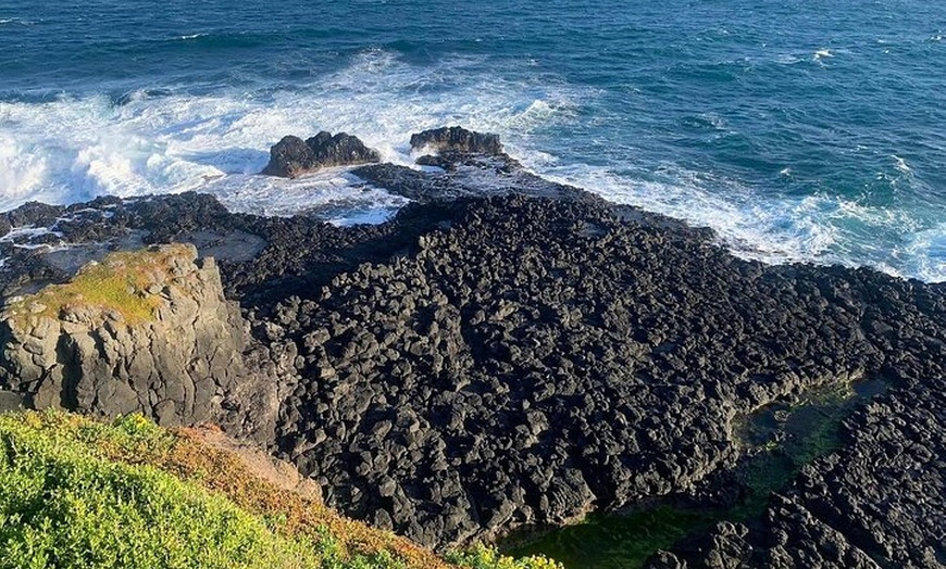 Image 3: Private Melbourne Tour: Phillip Island and Chocolate Factory