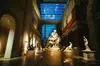 Guided tour of the Metropolitan Museum of Art