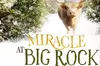 Miracle at Big Rock Per person Drive through