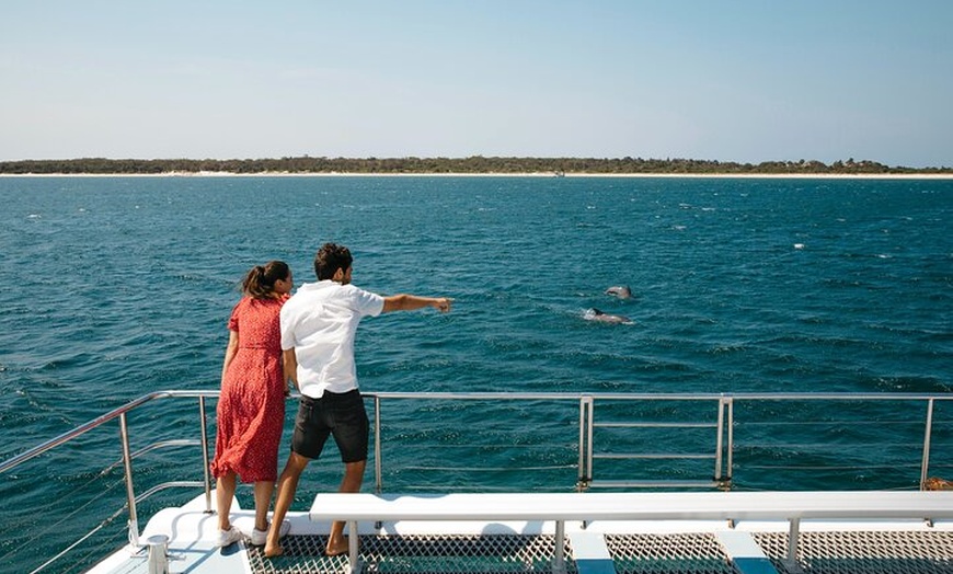 Image 6: Small Group Port Stephens + Dolphins + 4WD/sandboarding ex Sydney