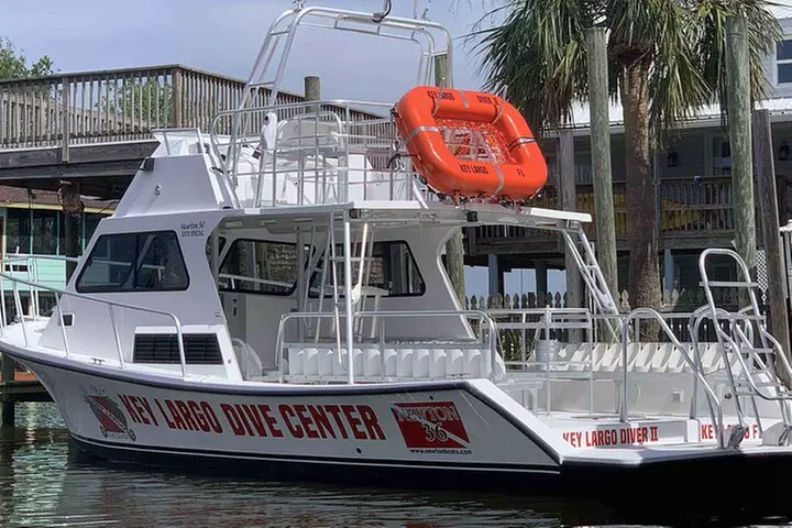 2 Dive Scuba Diving Reef Excursion to Key Largo Marine Sanctuary - Primary Image
