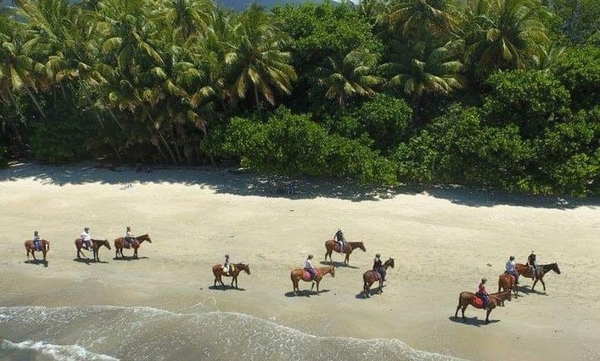 Image 2: Afternoon Beach Horse Ride in Cape Tribulation