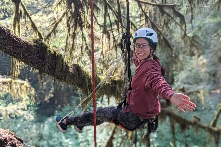Old-Growth Tree Climbing at Silver Falls State Park