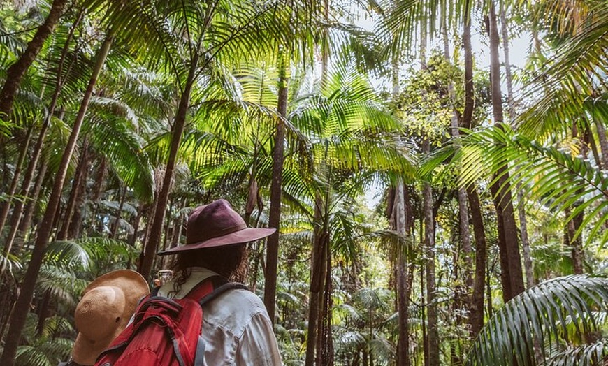 Image 12: Nature Immersive Fully Catered Glamping Retreat