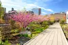 High Line and Chelsea Small Group Tour