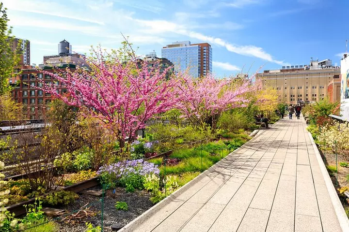 High Line and Chelsea Small Group Tour - Primary Image