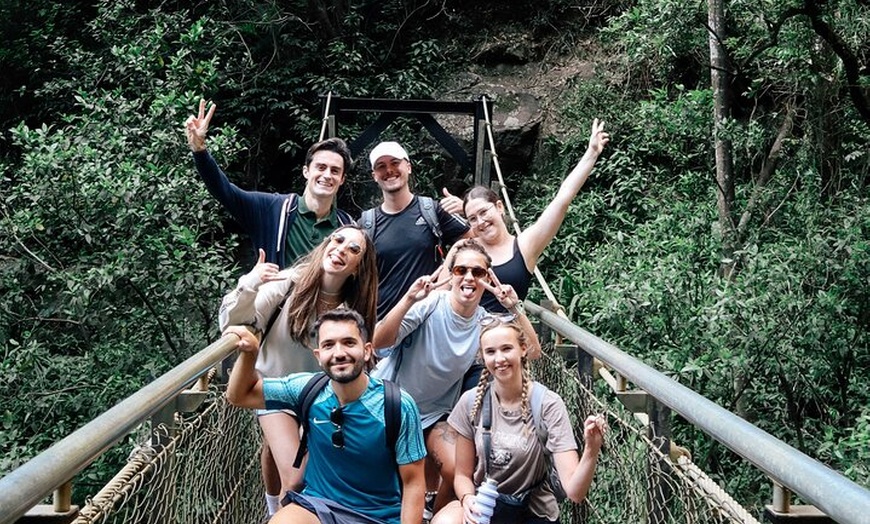 Image 2: Koalas, 6 Springbrook Waterfalls and Natural Bridge Day Tour