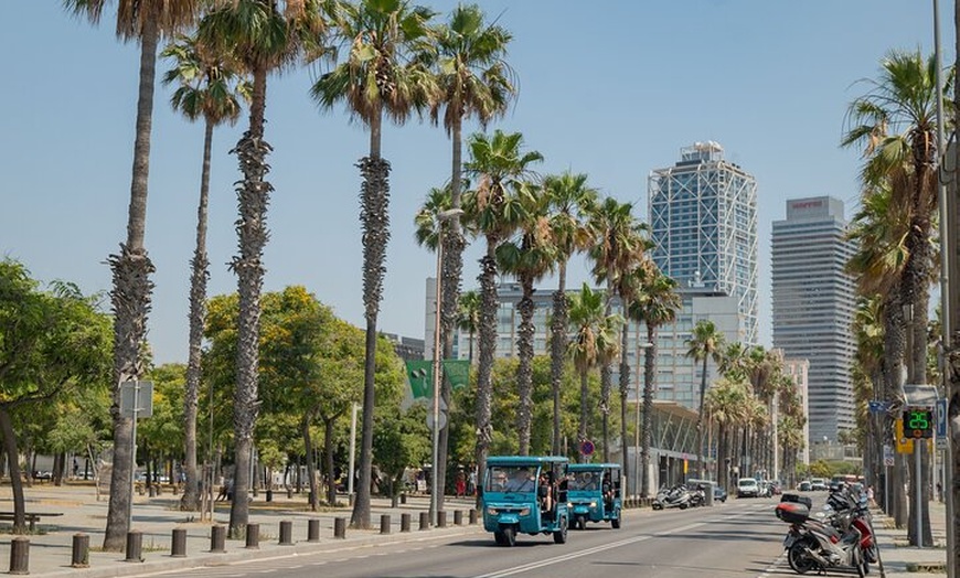 Image 13: Tour panorámico privado por Barcelona