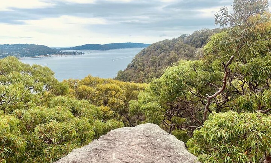 Image 19: Sydney: Ku-ring-gai Chase National Park with Hike, Swim, Picnic