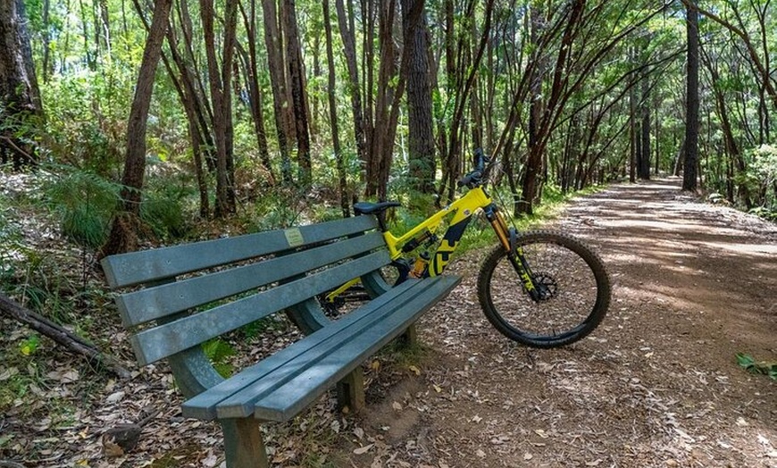 Image 9: Half Day Wadandi Track Scenic E-Bike Tour