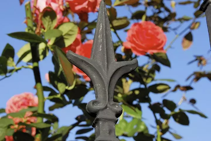 New Orleans Garden District Historical Tour: Destined To Be Different - Primary Image