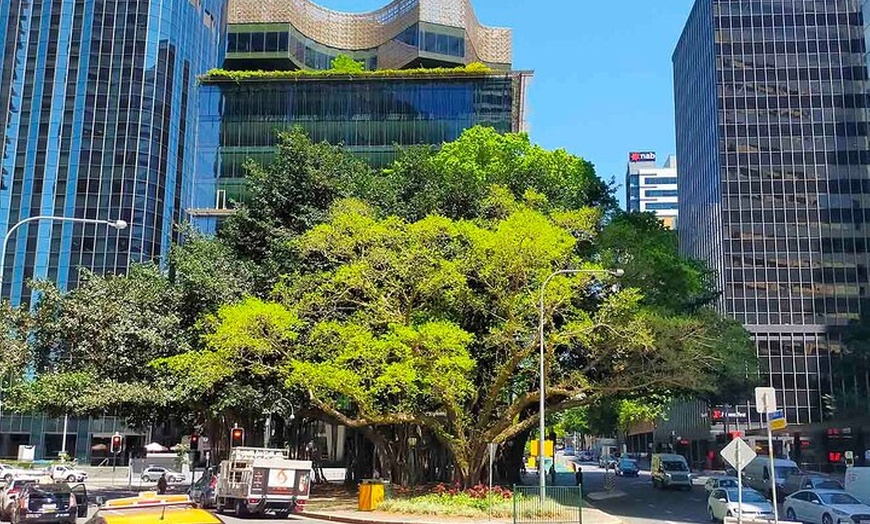 Image 9: 3-Hour Walking Tour in Brisbane