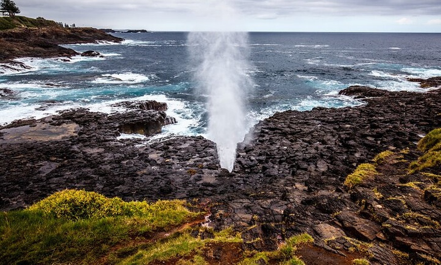 Image 4: Sydney South Coast Day Tour – Kiama Blowhole & Sea Cliff Bridge