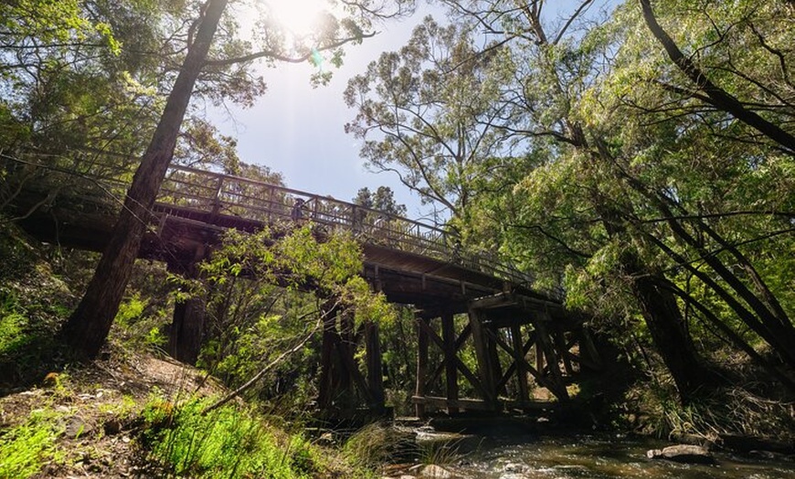 Image 8: Half Day Wadandi Track Scenic E-Bike Tour