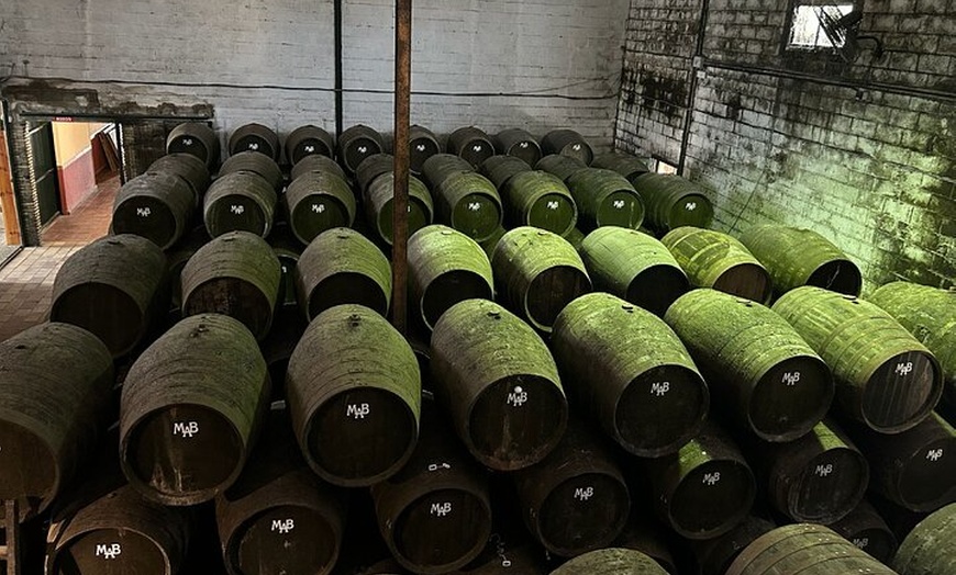 Image 6: Visita a Bodega en Chiclana de la Frontera: Cata de Vinos y Tapas