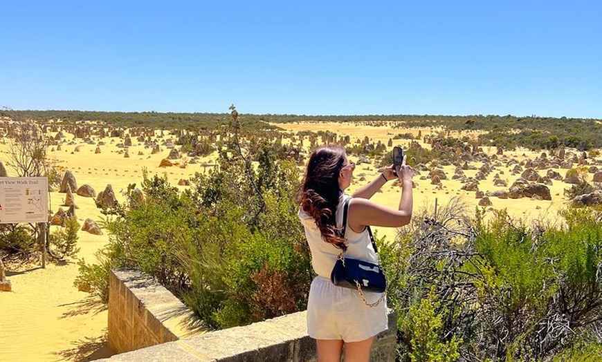 Image 4: Turquoise Coast and Pinnacles Desert, Lunch Included.
