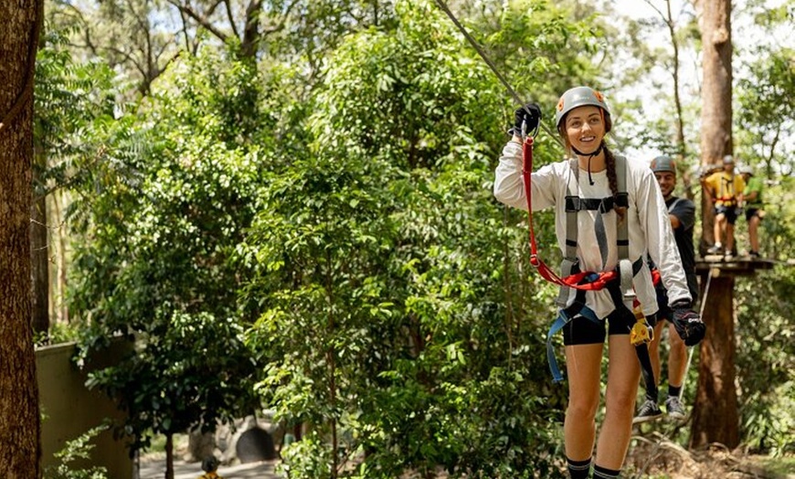 Image 3: TreeTop Challenge Currumbin Wildlife Park