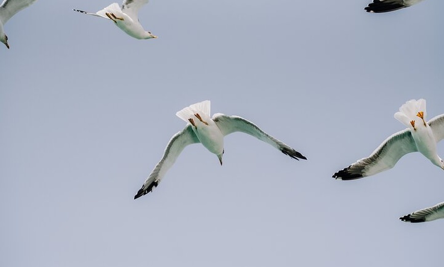 Image 15: Excursión en catamarán a la isla de La Graciosa