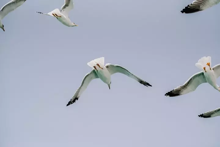Excursión en catamarán a la isla de La Graciosa