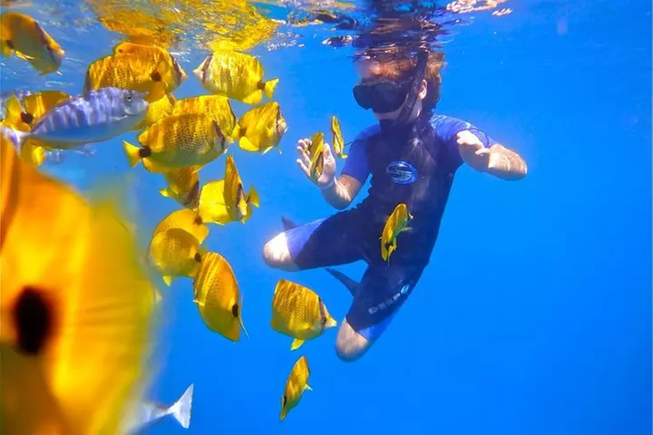 Maui Snorkeling Adventure to Molokini and Turtle Town