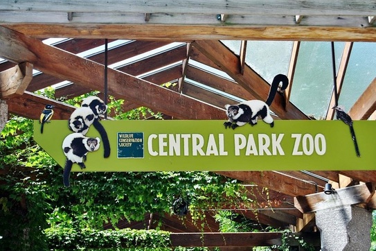 Central park hotsell zoo groupon