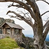Image 3: Experience Mt Buffalo Hikes Waterfalls and Scenic Views