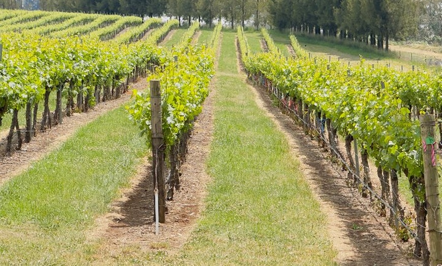 Image 2: Orange Region Winery Experience by Onayi