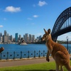 Image 14: Best of Sydney and Blue Mountains 2 Days Luxury Private tour