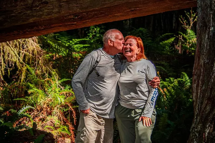 4 Hour Redwood National and State Park E Bike Adventure