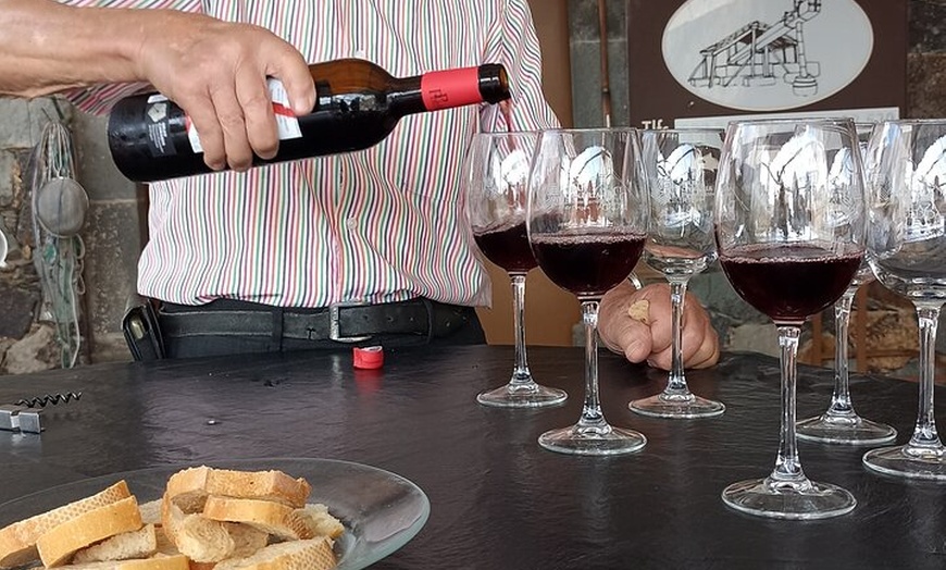 Image 8: Gran Canaria Premium Tour: Volcanes y Vino para cruceristas