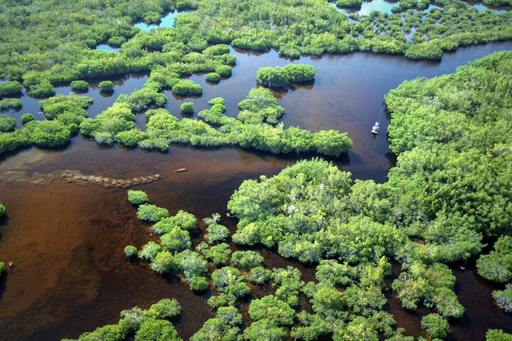 Everglades National Park Boat Tour