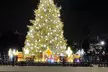 Washington, DC: National Christmas Tree & Holiday Lights Bus Tour - Second Medium